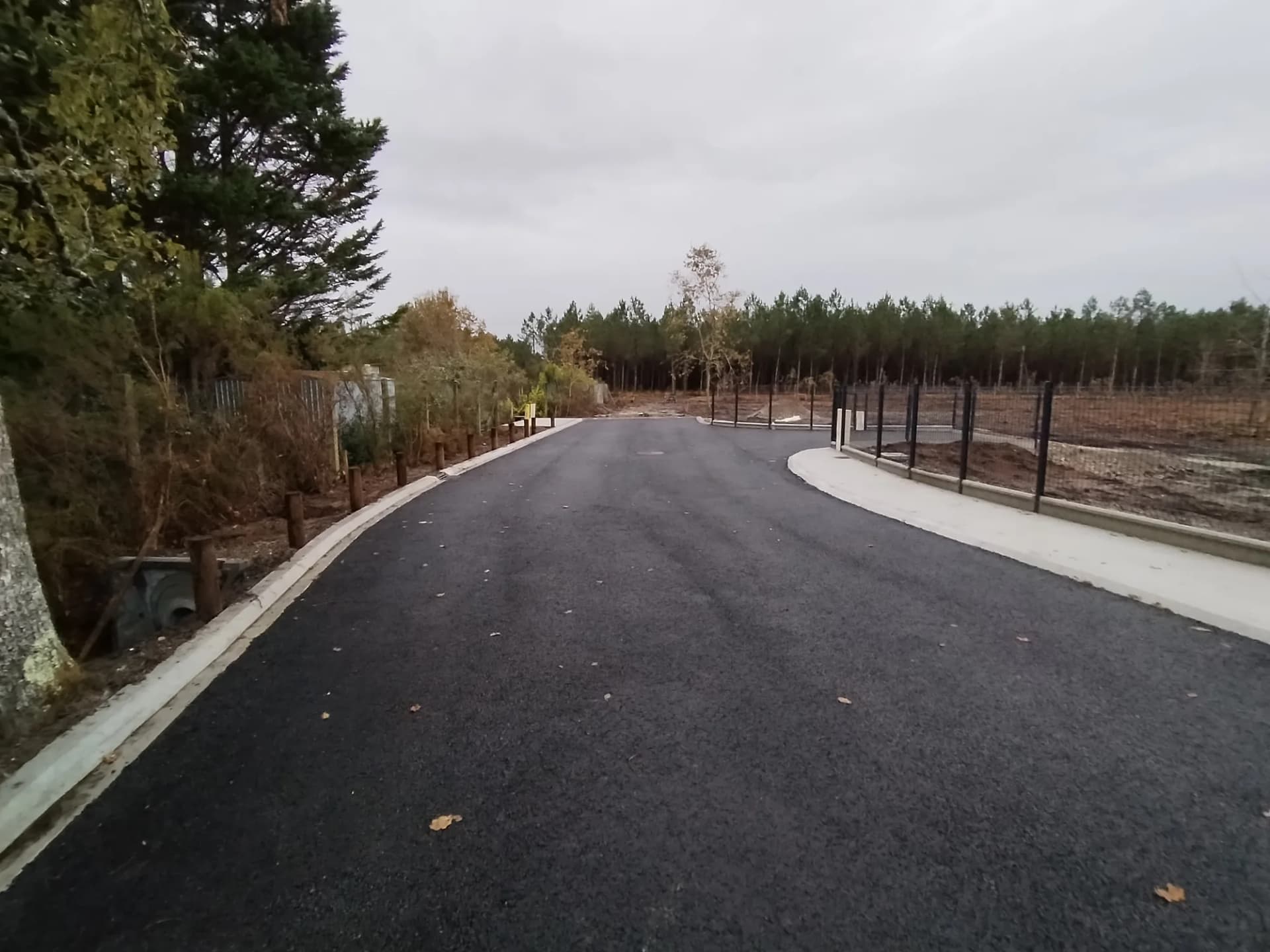 Chemin d'accès en bordure de terrain boisé et clôturé.