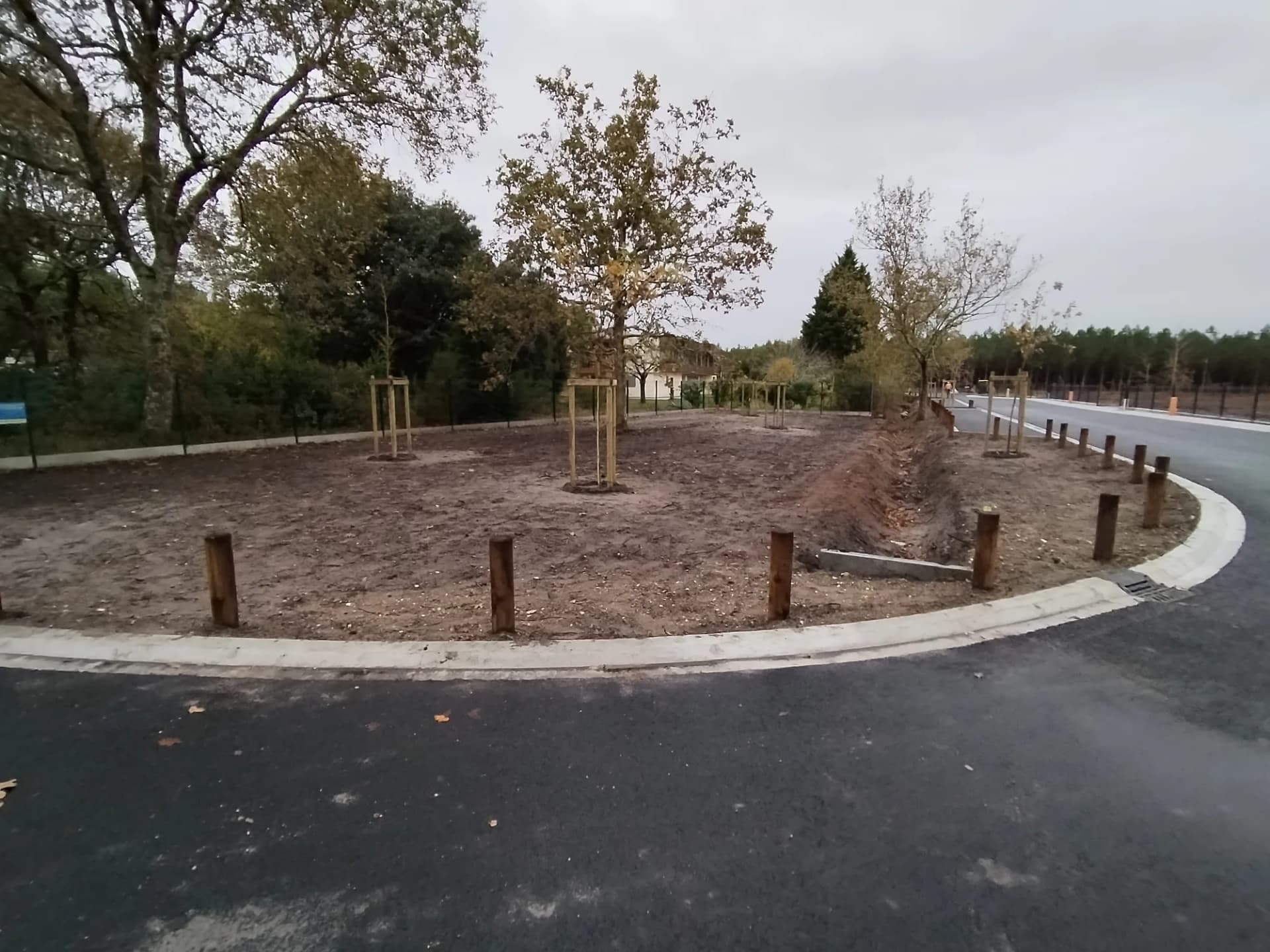 Terrain aménagé avec jeunes arbres et bordure en bois.