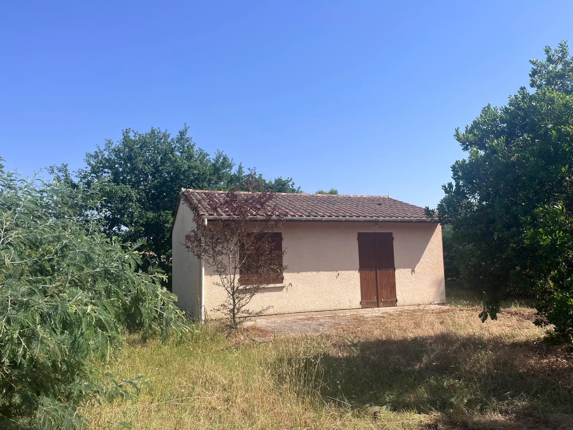 Maison de plain-pied au milieu d'un jardin verdoyant et ensoleillé.
