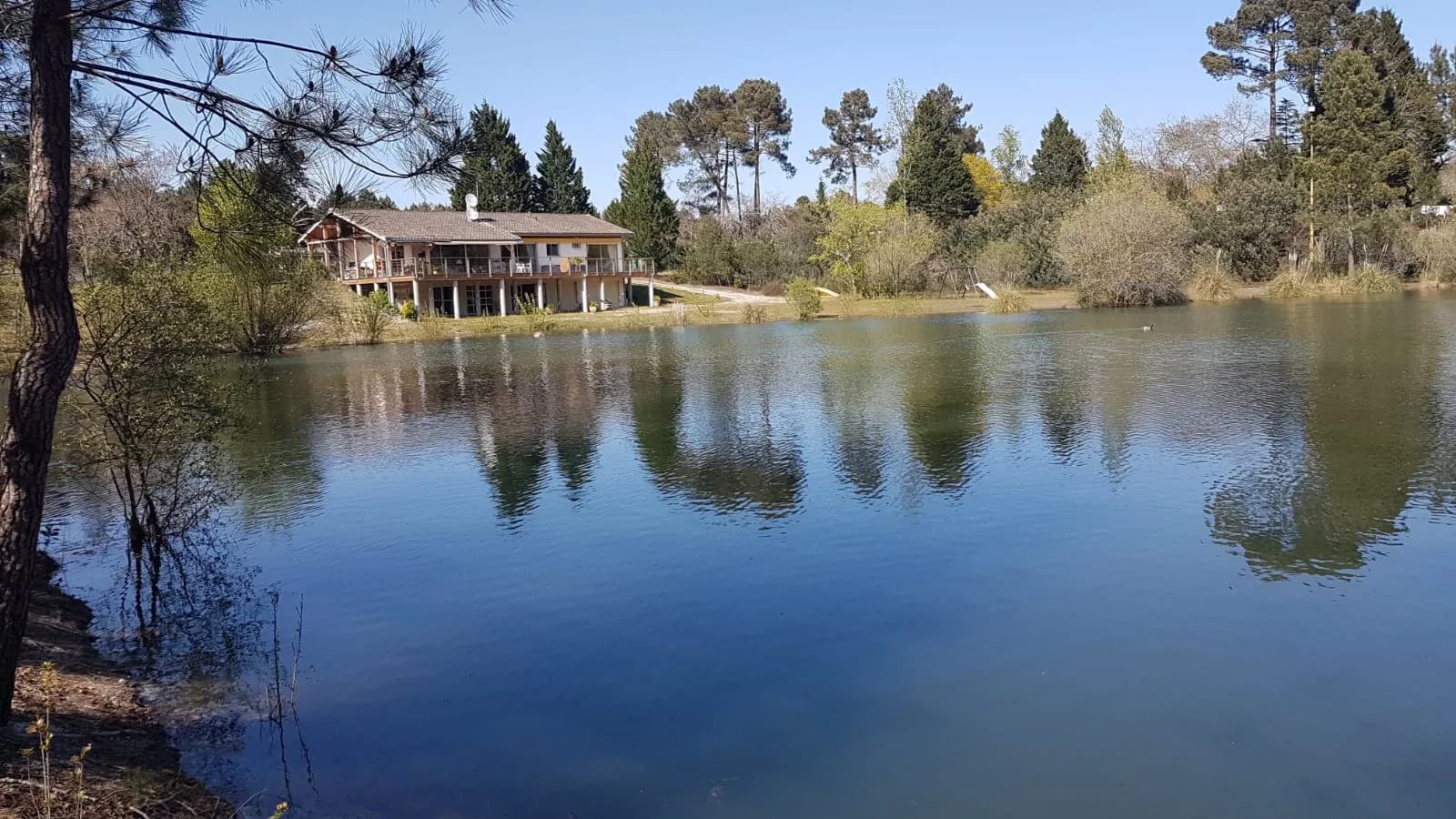 Maison en bois au bord d'un lac, entourée d'arbres.