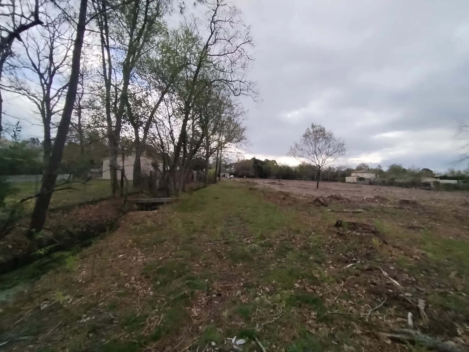 Terrain dégagé avec arbres et maisons en arrière-plan.